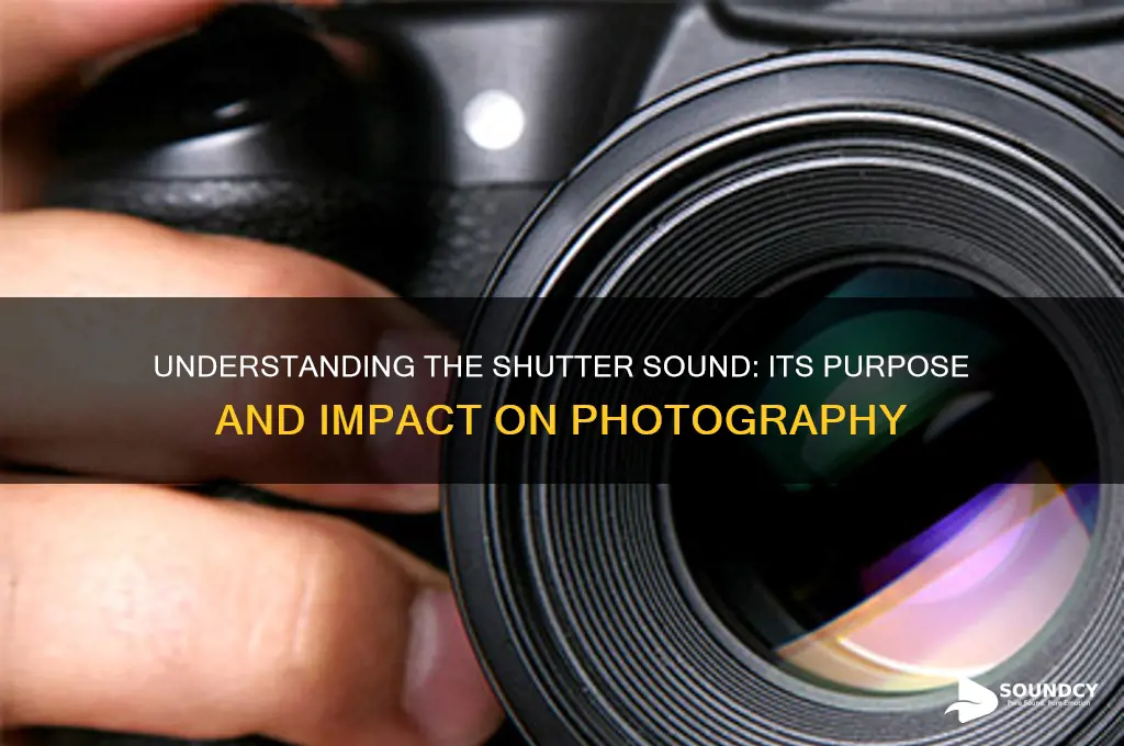 what is a shutter sound