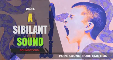 Understanding Sibilant Sounds: Definition, Examples, and Role in Speech