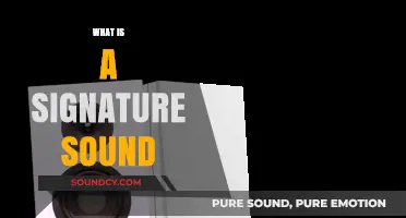 Unveiling the Essence: Understanding the Power of a Signature Sound