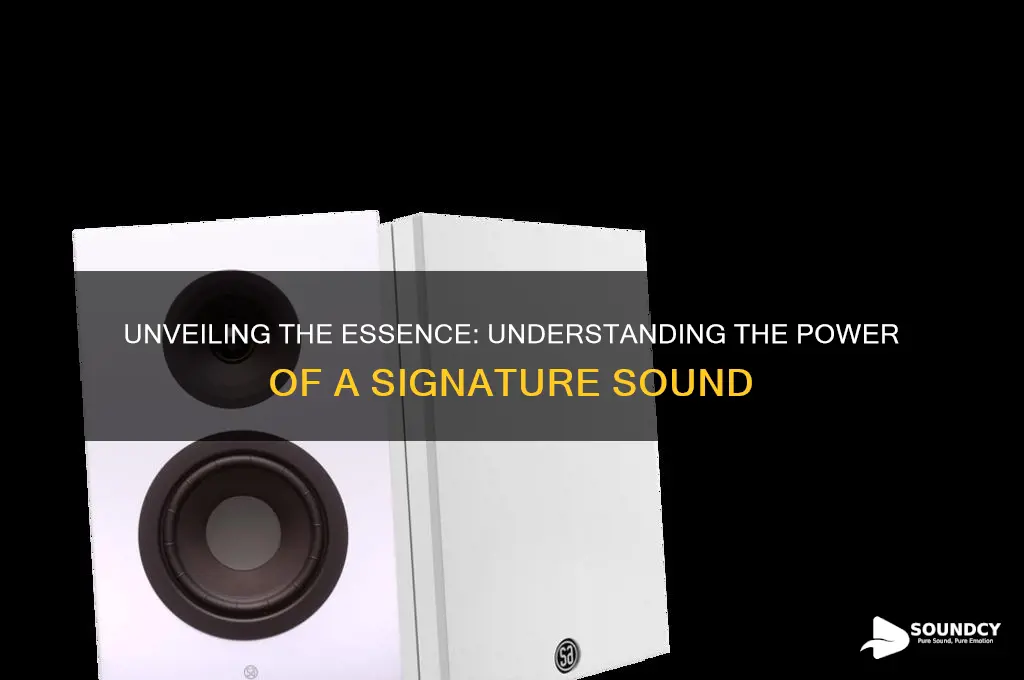 what is a signature sound