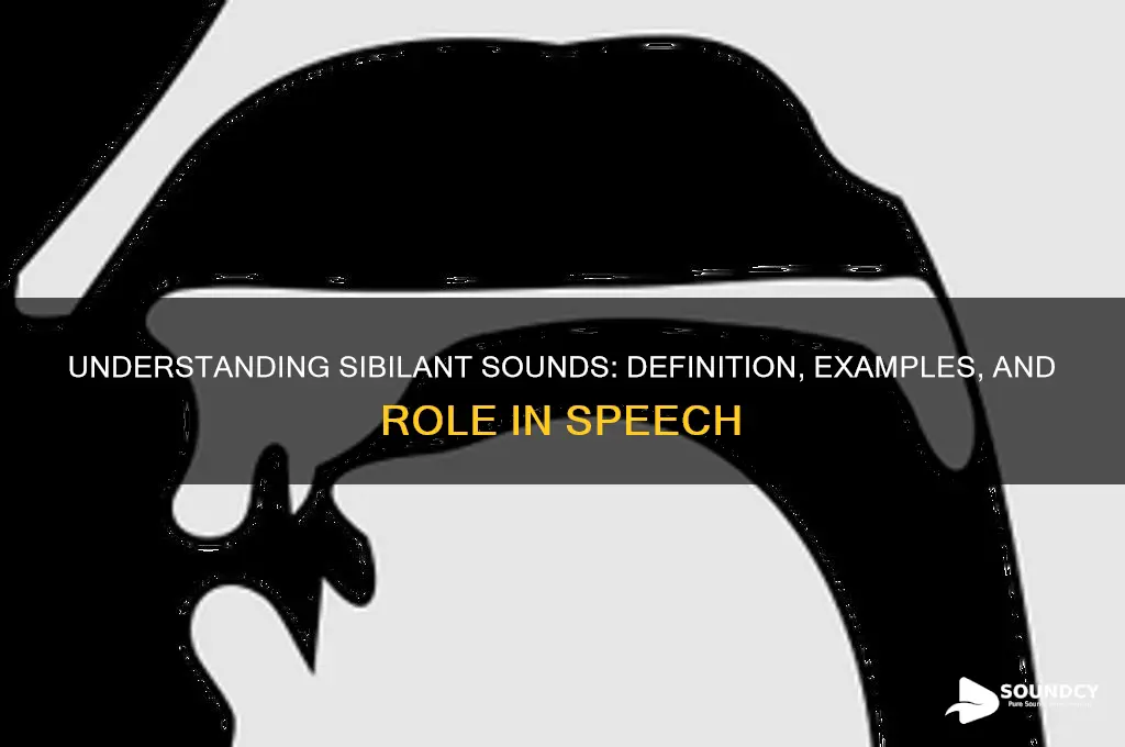 what is a silibant sound