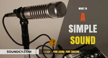 Understanding Simple Sounds: A Beginner's Guide to Basic Acoustics