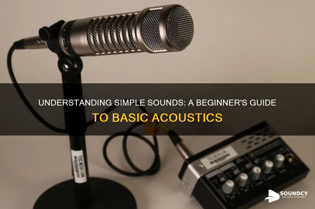 what is a simple sound