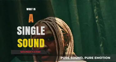 Understanding the Essence of a Single Sound: A Comprehensive Guide
