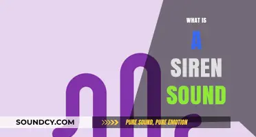 Understanding the Piercing Siren Sound: Origins, Uses, and Impact