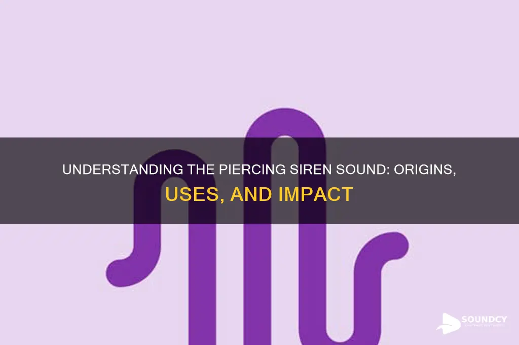 what is a siren sound