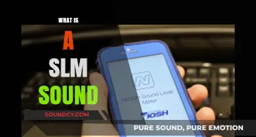 Understanding SLM Sound: Definition, Applications, and Benefits Explained
