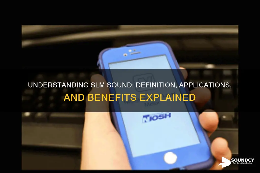 what is a slm sound