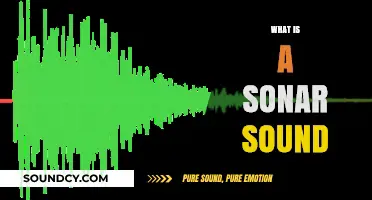 Understanding Sonar Sound: How It Works and Its Applications