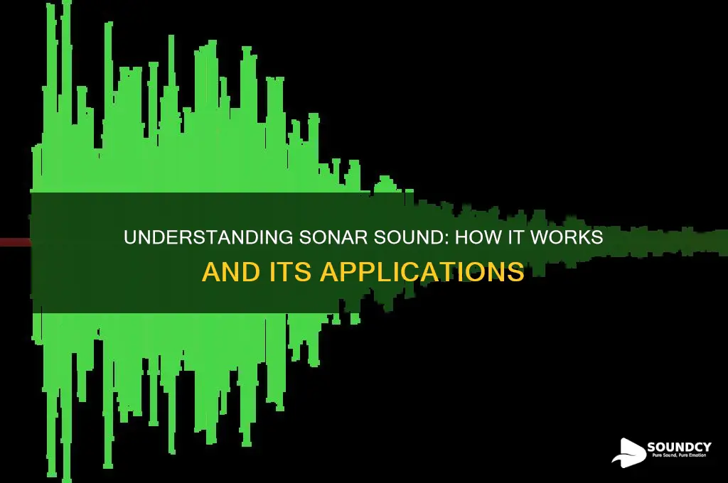 what is a sonar sound