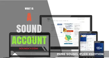 Understanding Sound Accounts: A Comprehensive Guide to Financial Integrity