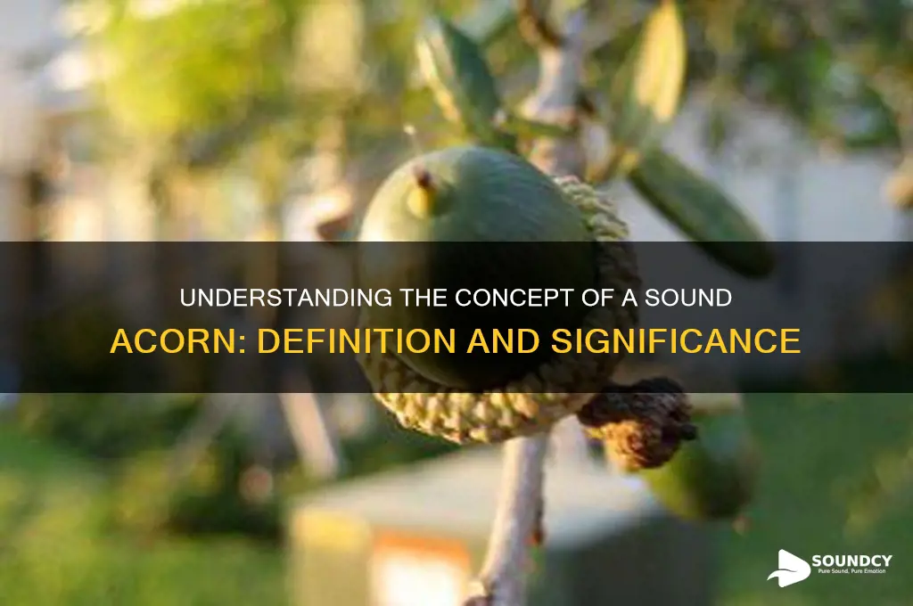 what is a sound acorn