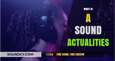 Exploring Sound Actualities: Understanding Real-World Audio in Media Production