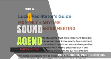 Crafting a Sound Agenda: Essential Steps for Effective Planning