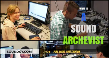 Exploring the Art of Sound Archiving: What is a Sound Archivist?