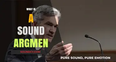 Crafting a Sound Argument: Essential Elements for Persuasive Reasoning