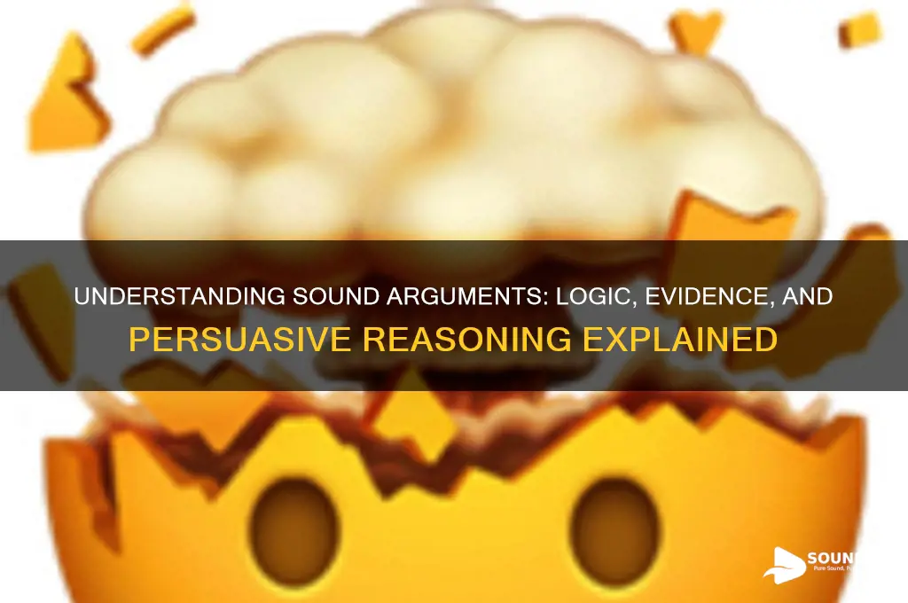 what is a sound arguemnt