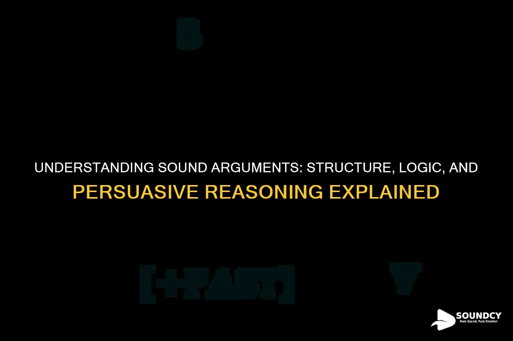 what is a sound arguments