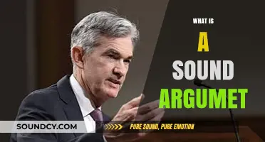 Crafting a Sound Argument: Essential Elements and Persuasive Strategies