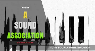 Understanding Sound Association: How Our Brains Link Audio to Memories and Emotions