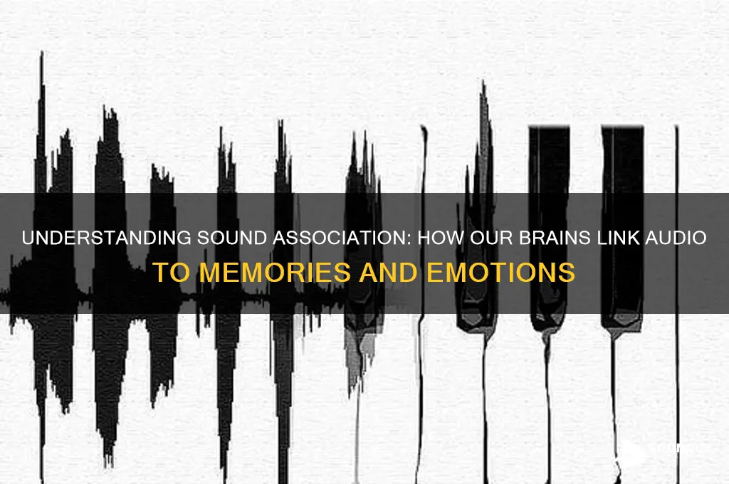 what is a sound association