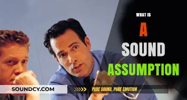 Understanding Sound Assumptions: A Foundation for Reliable Decision-Making