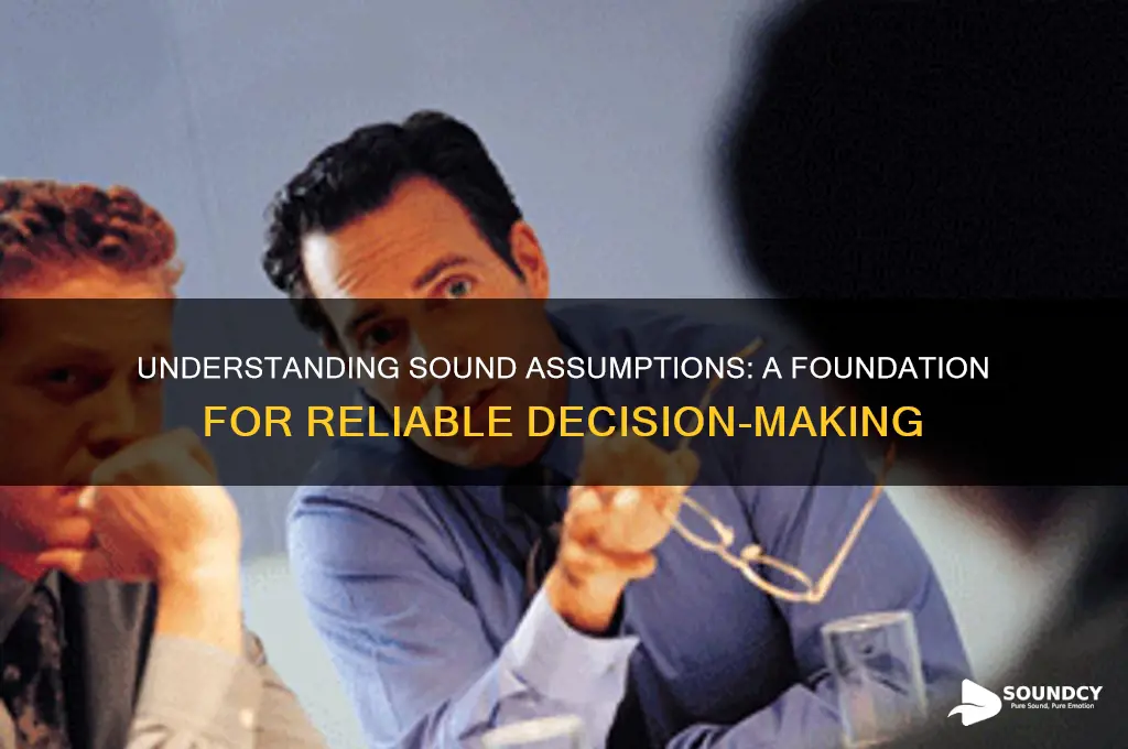 what is a sound assumption