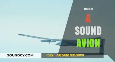 Understanding the Concept and Benefits of a Sound Avion