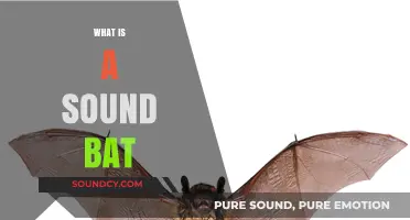 Understanding Sound Bats: Their Unique Abilities and Ecological Role