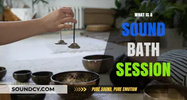 Sound Bath Sessions: Healing Through Sound