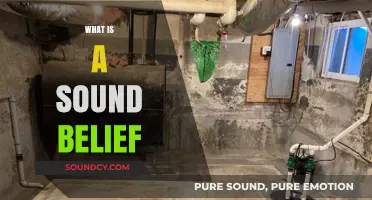 Understanding Sound Beliefs: Foundations, Importance, and Practical Applications