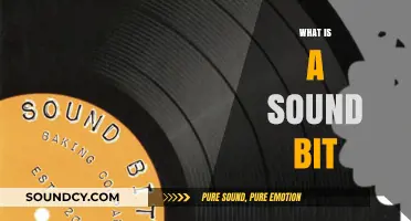 Understanding Sound Bites: Concise Audio Clips in Media and Communication
