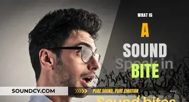 Understanding Sound Bites: Concise Phrases That Capture Attention Instantly
