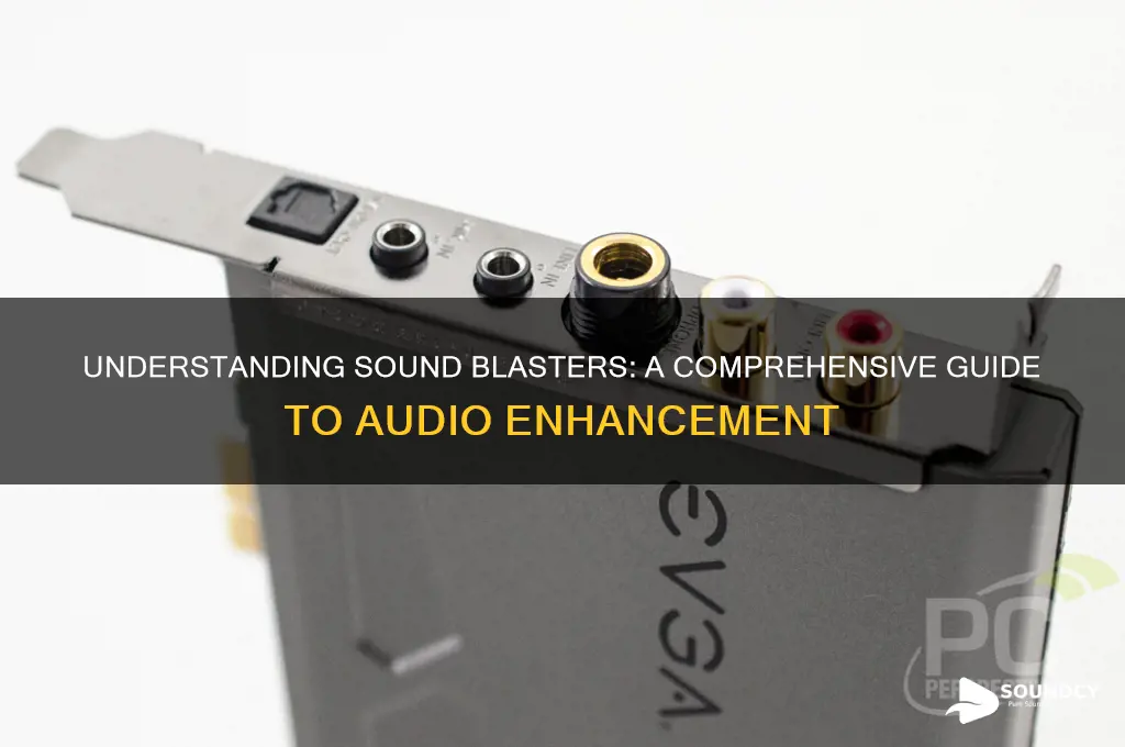 what is a sound blaser