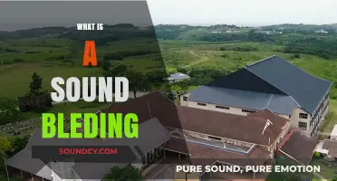 Understanding Sound Bleed: Causes, Effects, and Solutions for Audio Clarity