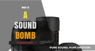 Understanding Sound Bombs: Purpose, Impact, and Safety Concerns Explained