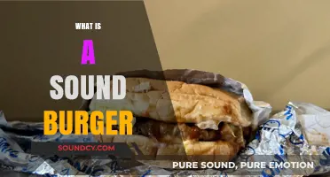 What is a Sound Burger? Exploring the Sonic Food Trend
