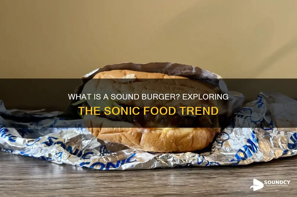 what is a sound burger