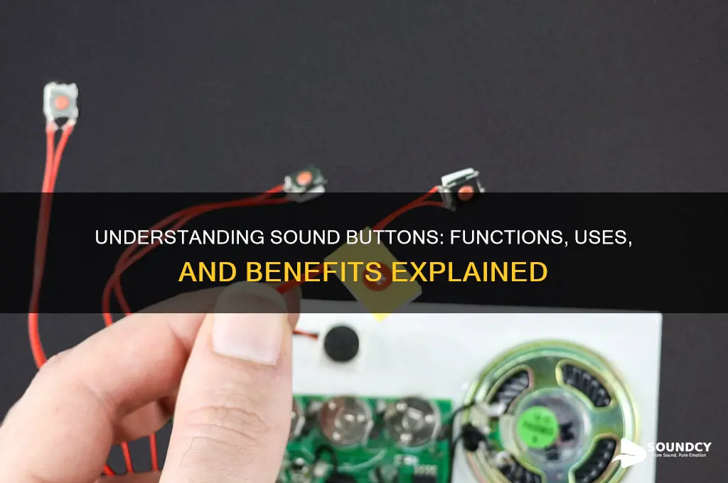 what is a sound button