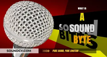 Understanding Sound Bites: Concise Media Clips Explained Simply and Effectively