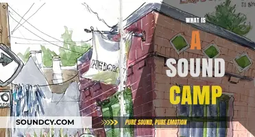 Exploring Sound Camps: Creative Communities and Sonic Art Experiences
