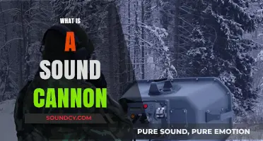 Understanding Sound Cannons: How LRAD Devices Work and Their Uses
