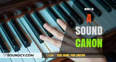 Exploring the Musical Technique: Understanding the Concept of a Sound Canon