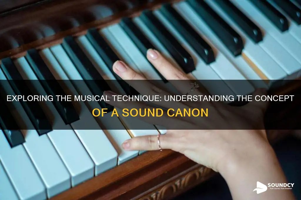 what is a sound canon