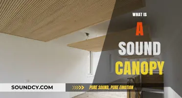 Understanding Sound Canopies: Enhancing Acoustic Spaces with Innovative Design