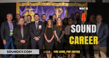 Exploring the Essence of a Sound Career: Stability, Growth, and Fulfillment