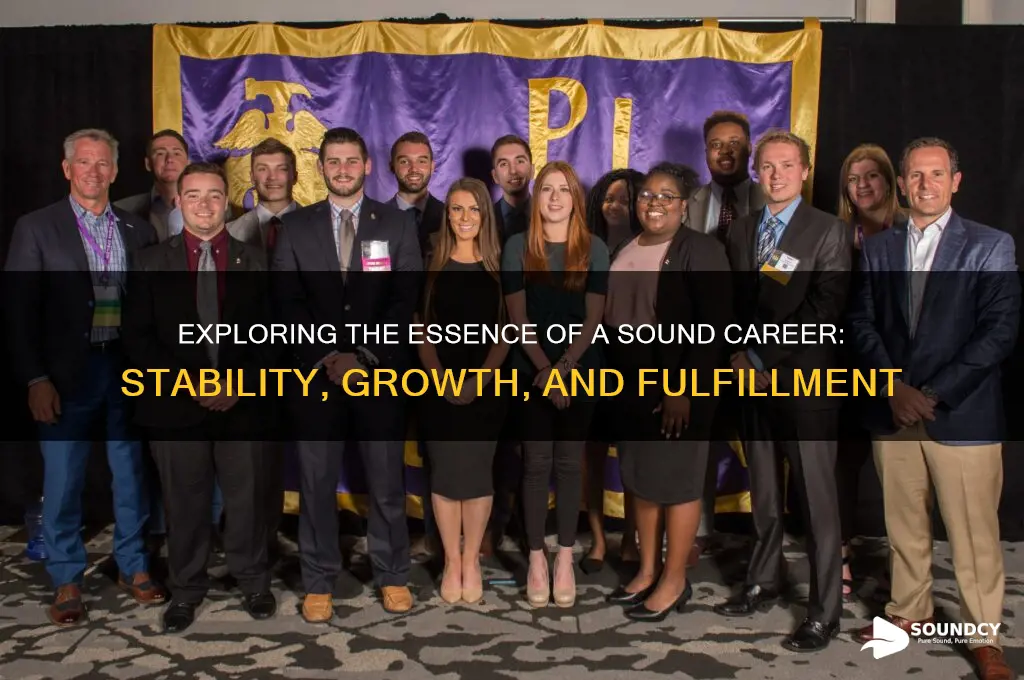 what is a sound career