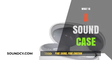 Understanding Sound Cases: Definition, Importance, and Practical Applications