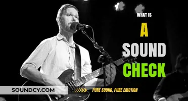 Mastering Sound Check: Essential Steps for Perfect Audio Performance