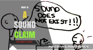 Understanding Sound Claims: A Comprehensive Guide to Valid Arguments